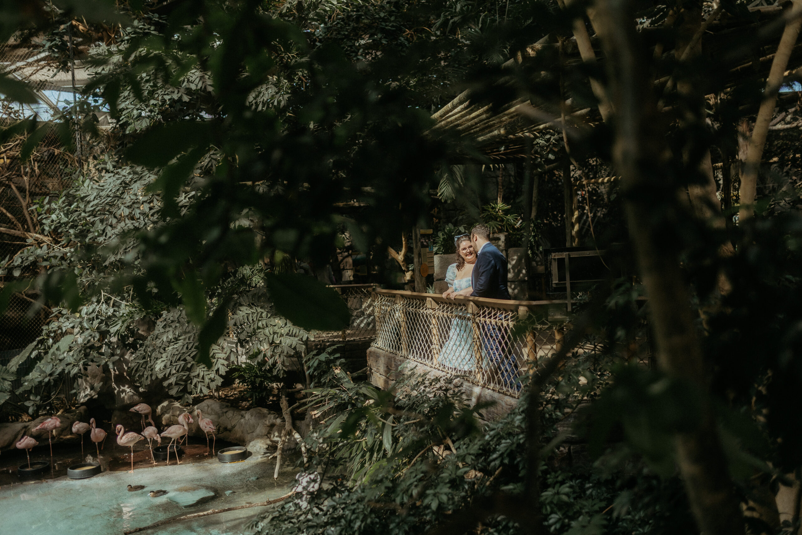 Minnesota Zoo Engagement Session
